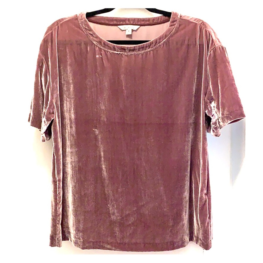 Velvet short sleeve shirt